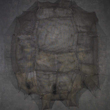 INFORMALISMO Y ABSTRACCIÓN. Visiones transversales de la colección Circa XX